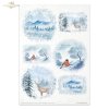 Conjunto Creativo RP083 Winter animals